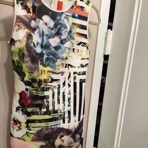 Clover canyon pattern dress